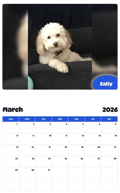November 2025 - October 2026 Sally - Pawidols Pet Calendar