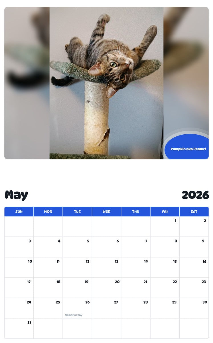 2026 - 2027 Pumpkin aka Peanut - Pawidols Pet Calendar