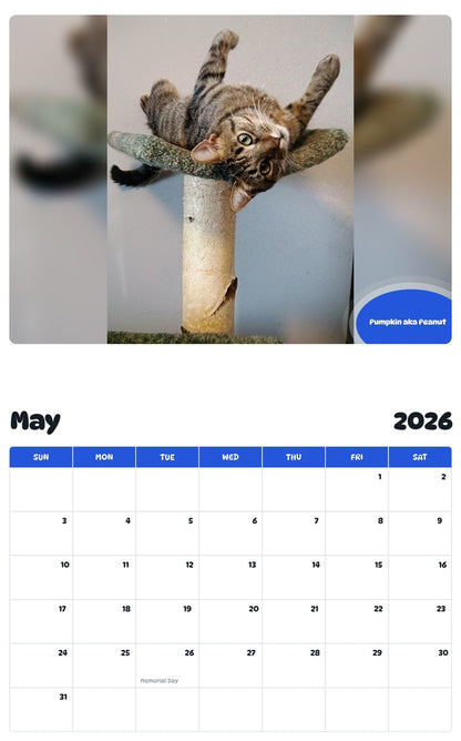 2026 - 2027 Pumpkin aka Peanut - Pawidols Pet Calendar