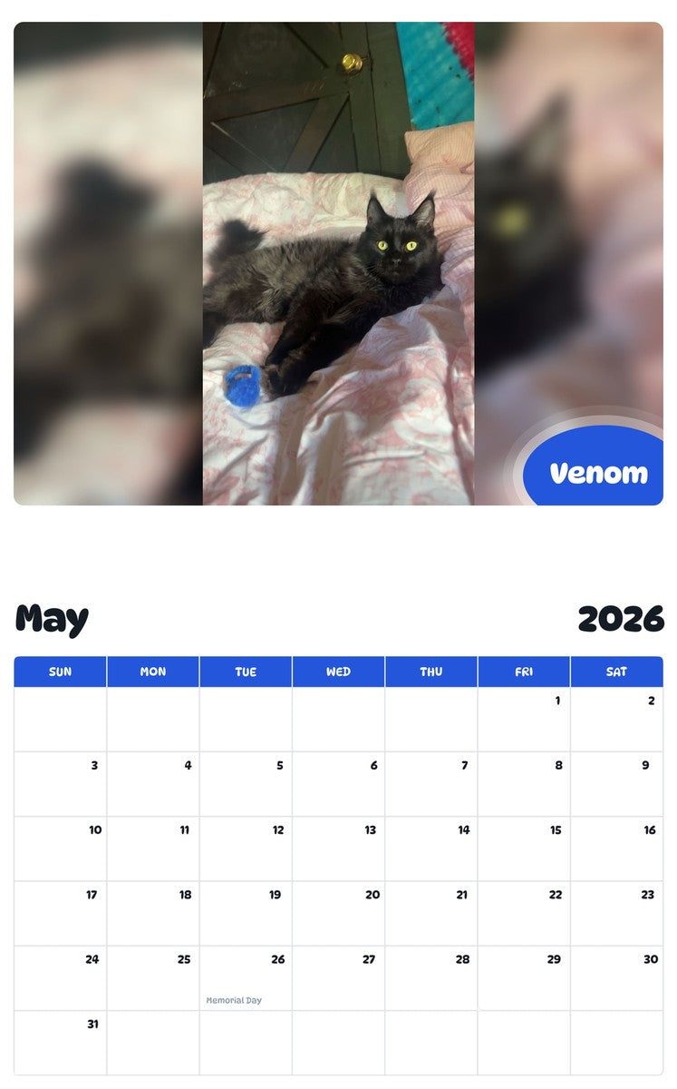 2026 - 2027 Venom - Pawidols Pet Calendar