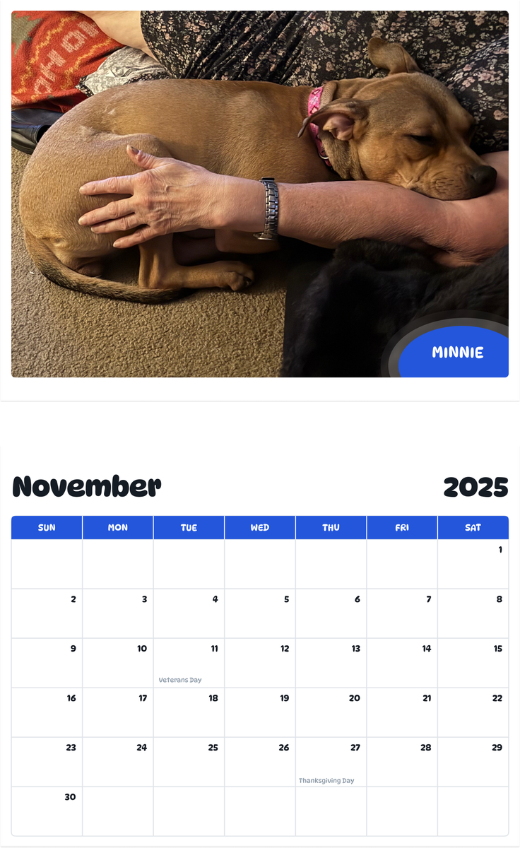 July 2025 - June 2026 Minnie - Pawidols Pet Calendar
