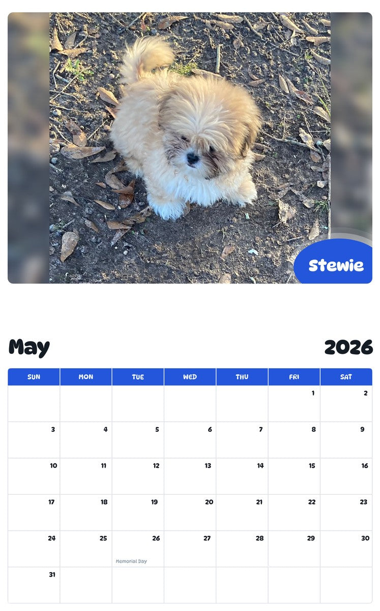 2026 - 2027 Stewie - Pawidols Pet Calendar
