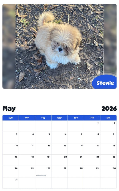 2026 - 2027 Stewie - Pawidols Pet Calendar