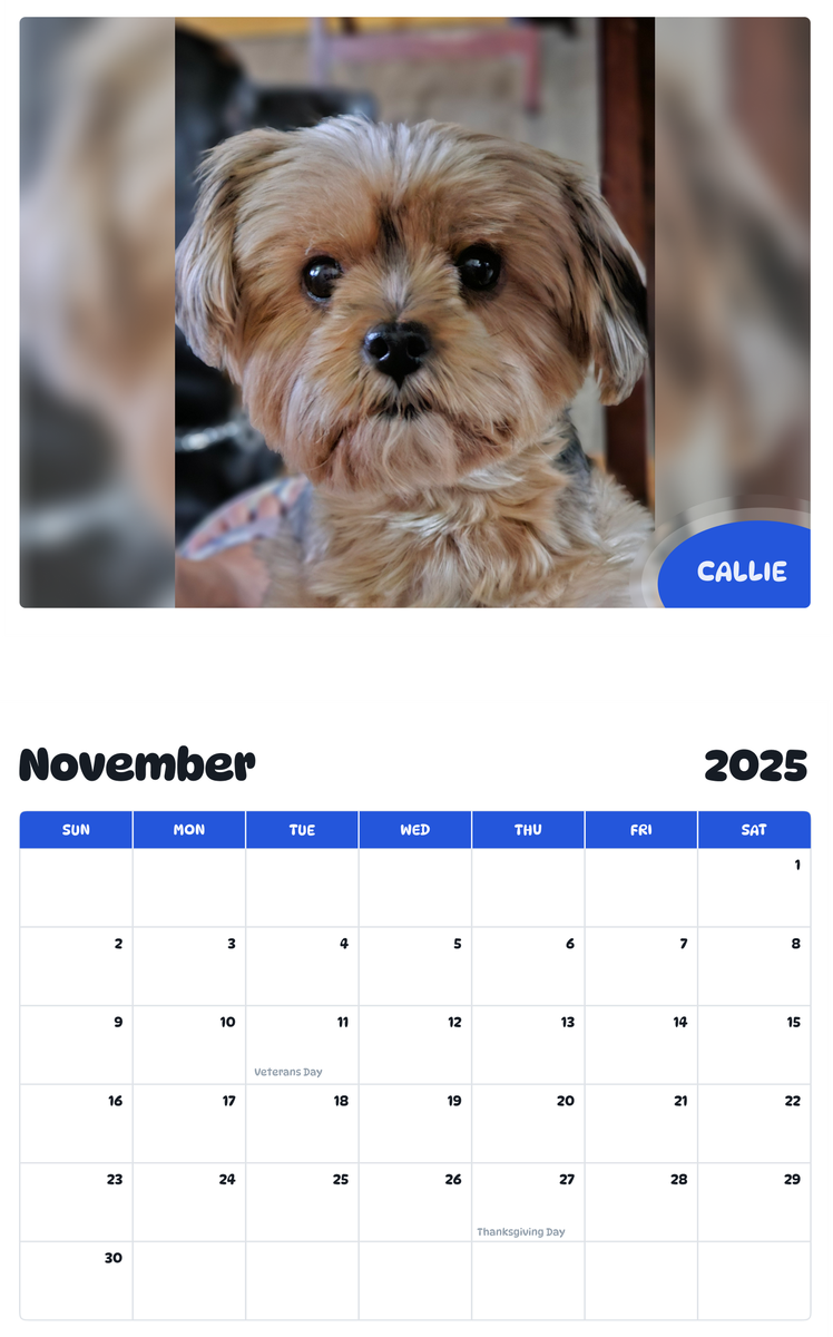 July 2025 - June 2026 CALLIE - Pawidols Pet Calendar