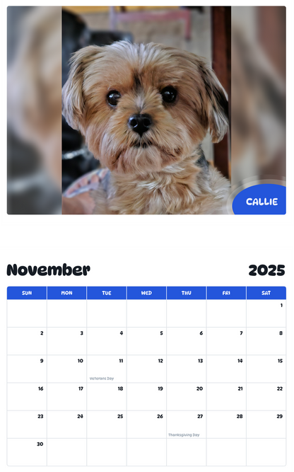 July 2025 - June 2026 CALLIE - Pawidols Pet Calendar