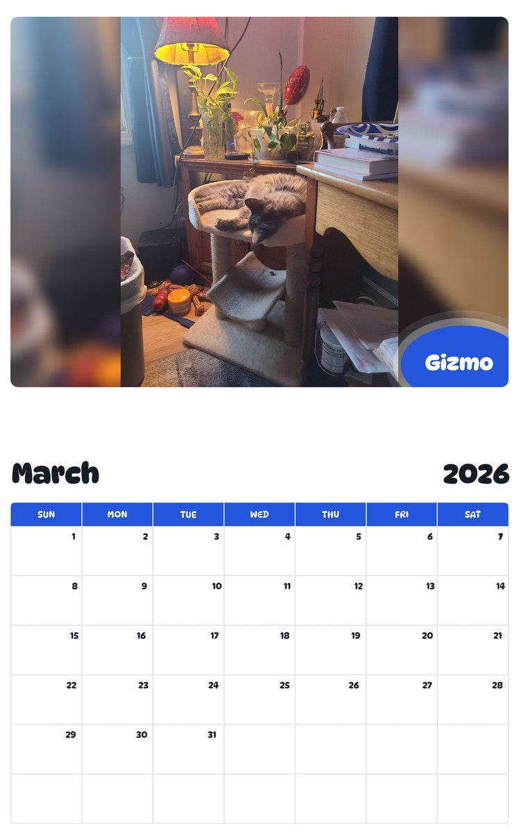 November 2025 - October 2026 Gizmo - Pawidols Pet Calendar