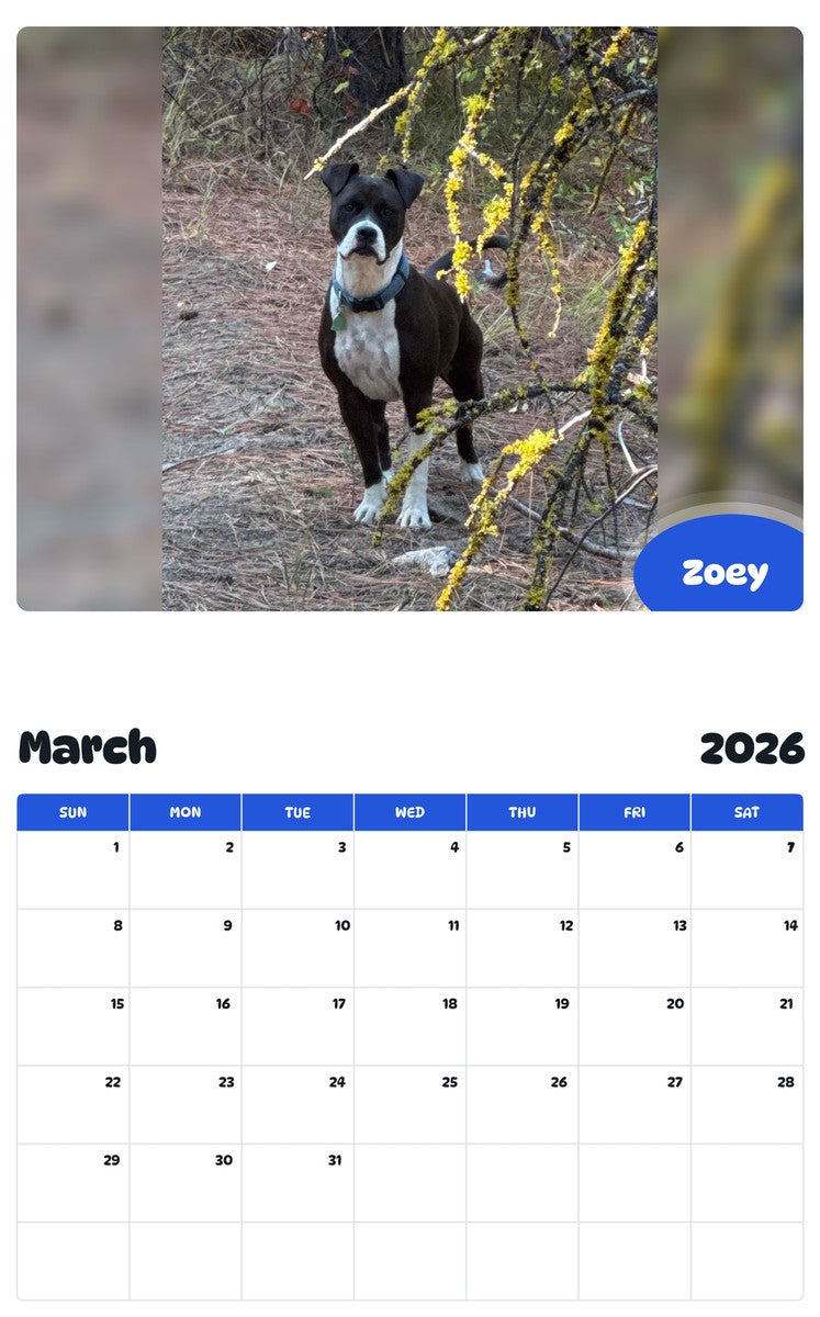 November 2025 - October 2026 Zoey - Pawidols Pet Calendar