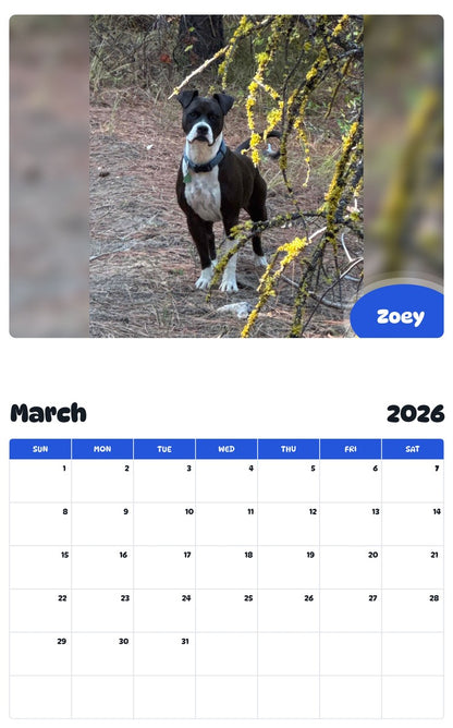 November 2025 - October 2026 Zoey - Pawidols Pet Calendar