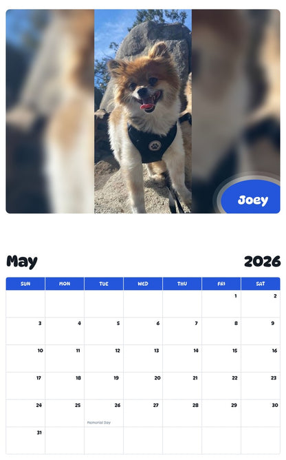 2026 - 2027 Joey - Pawidols Pet Calendar