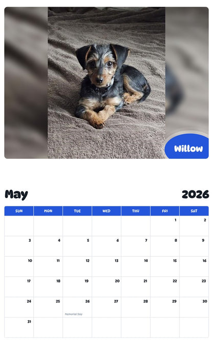 2026 - 2027 Willow - Pawidols Pet Calendar