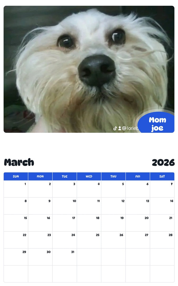 November 2025 - October 2026 Mom joe - Pawidols Pet Calendar