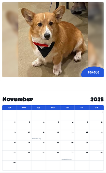 July 2025 - June 2026 Fergus - Pawidols Pet Calendar