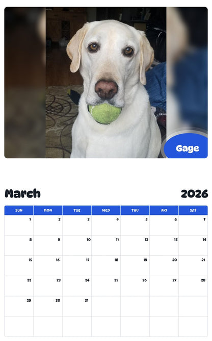 November 2025 - October 2026 Gage - Pawidols Pet Calendar