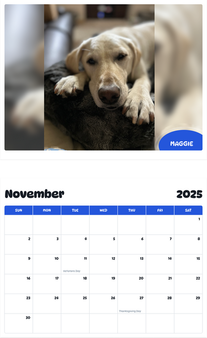 July 2025 - June 2026 Maggie - Pawidols Pet Calendar