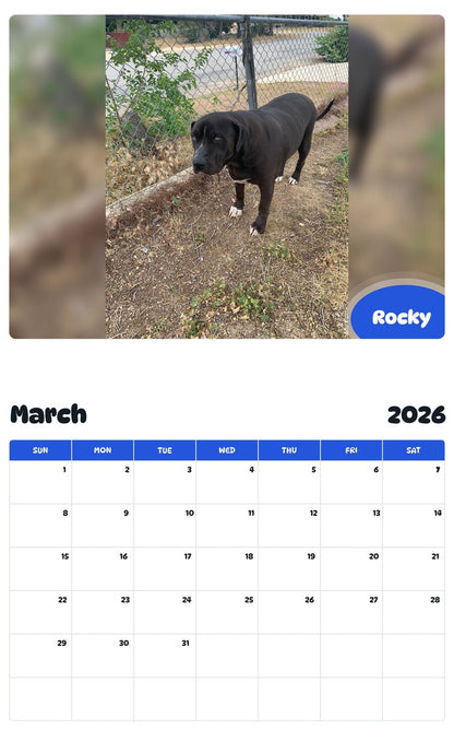 November 2025 - October 2026 Rocky - Pawidols Pet Calendar