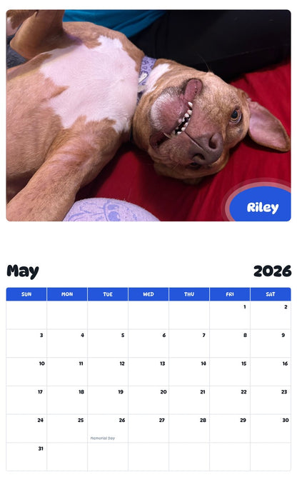 2026 - 2027 Riley - Pawidols Pet Calendar