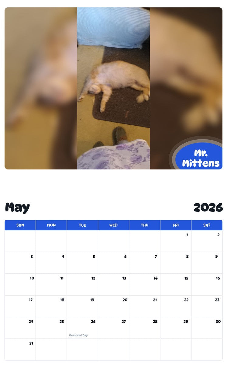 2026 - 2027 Mr. Mittens - Pawidols Pet Calendar