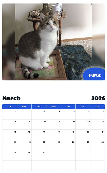 November 2025 - October 2026 Purle - Pawidols Pet Calendar