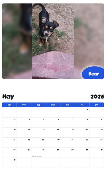 2026 - 2027 Bear - Pawidols Pet Calendar