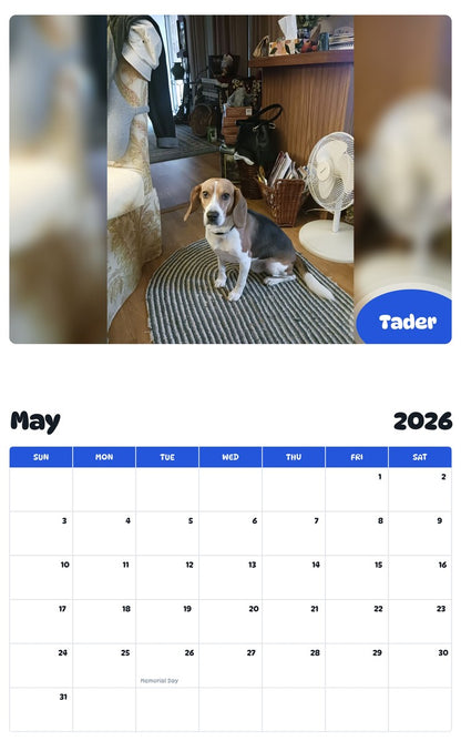 2026 - 2027 Tader - Pawidols Pet Calendar
