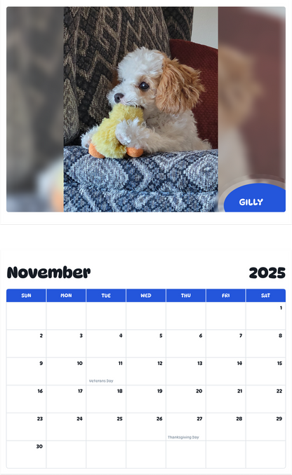 July 2025 - June 2026 Gilly - Pawidols Pet Calendar
