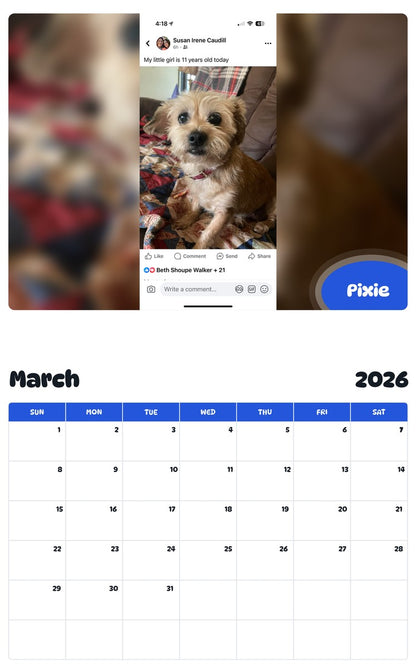 November 2025 - October 2026 Pixie - Pawidols Pet Calendar