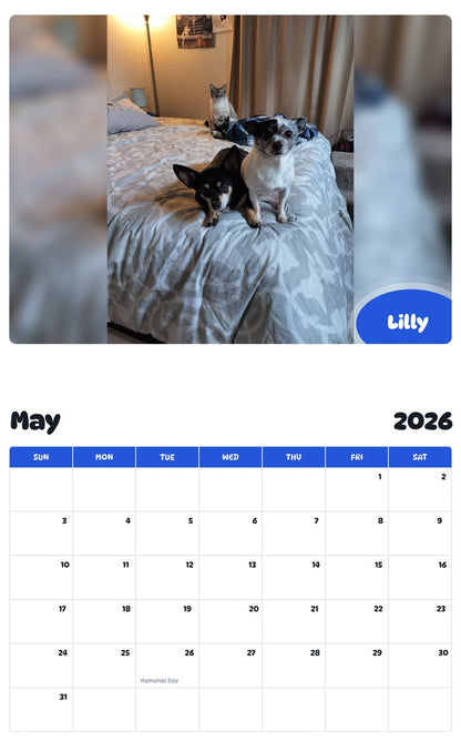 2026 - 2027 Lilly - Pawidols Pet Calendar