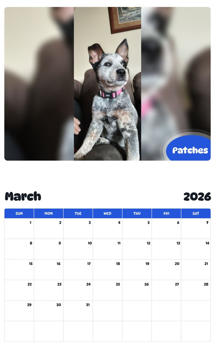 November 2025 - October 2026 Patches - Pawidols Pet Calendar