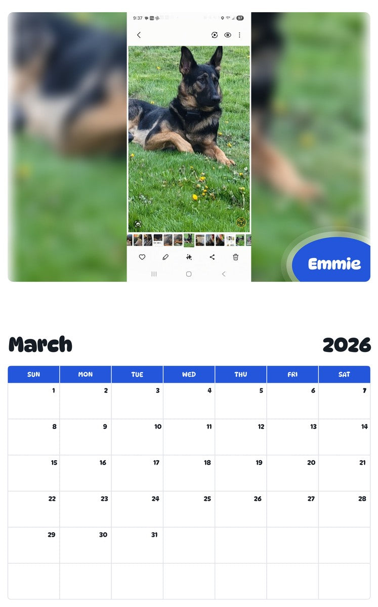 November 2025 - October 2026 Emmie - Pawidols Pet Calendar