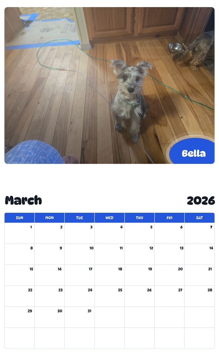 November 2025 - October 2026 Bella - Pawidols Pet Calendar