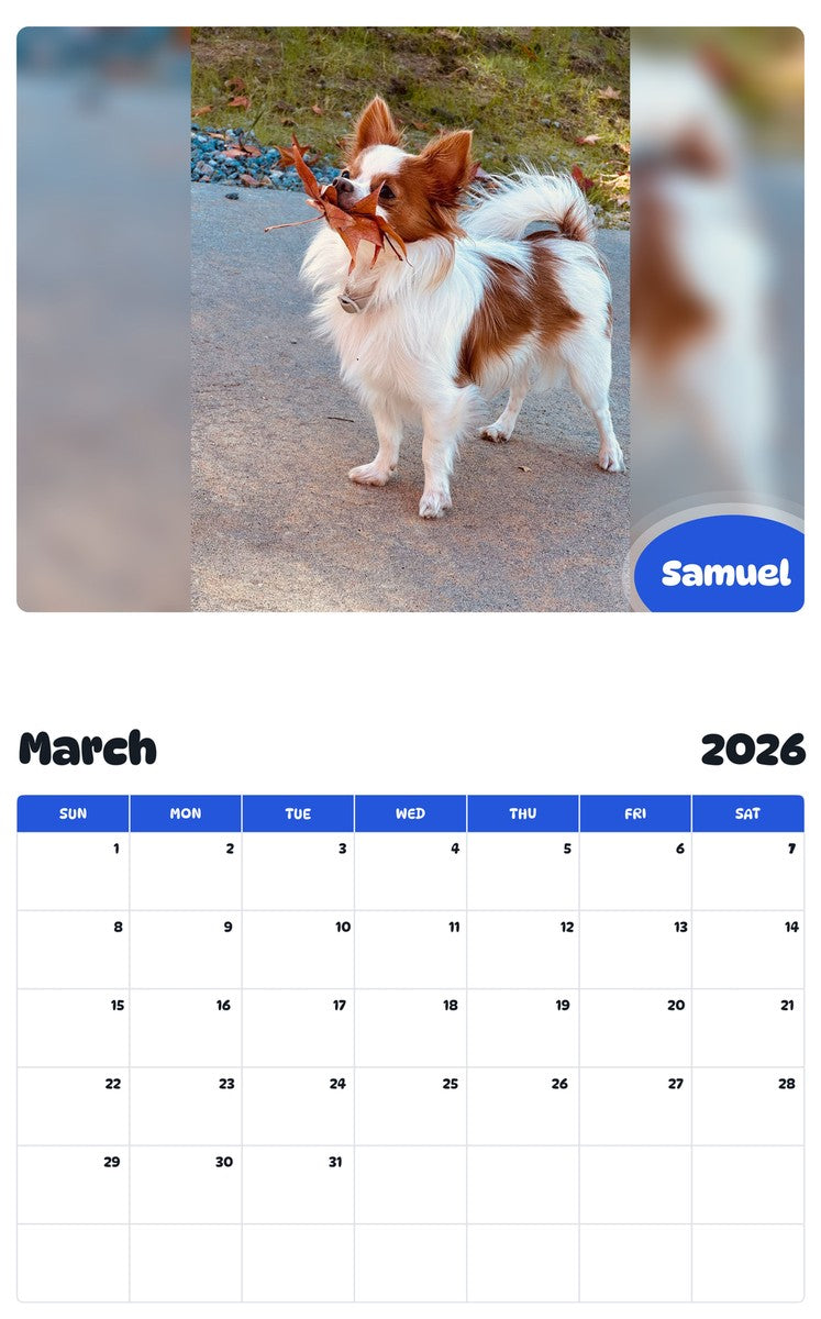 November 2025 - October 2026 Samuel - Pawidols Pet Calendar