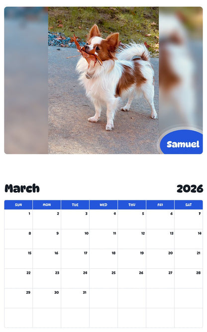 November 2025 - October 2026 Samuel - Pawidols Pet Calendar