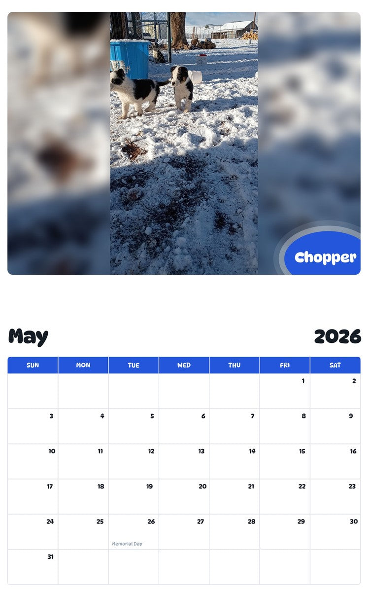 2026 - 2027 Chopper - Pawidols Pet Calendar