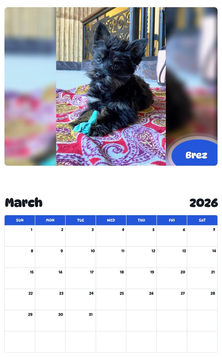 November 2025 - October 2026 Brez - Pawidols Pet Calendar