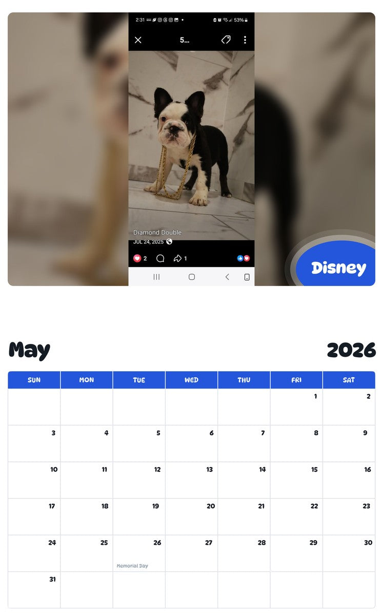 2026 - 2027 Disney - Pawidols Pet Calendar