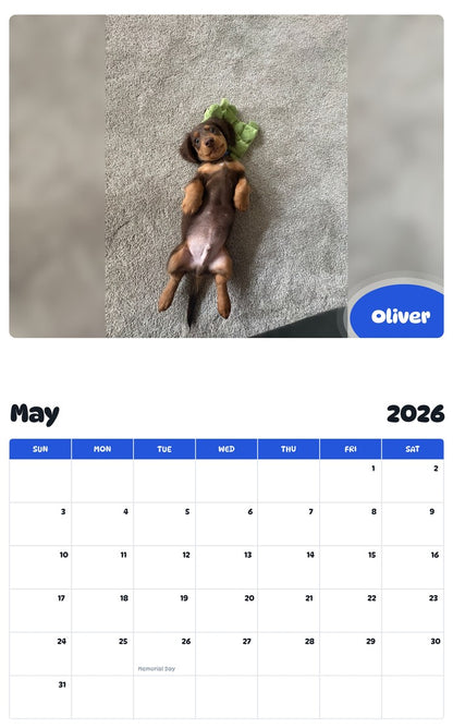 2026 - 2027 Oliver - Pawidols Pet Calendar