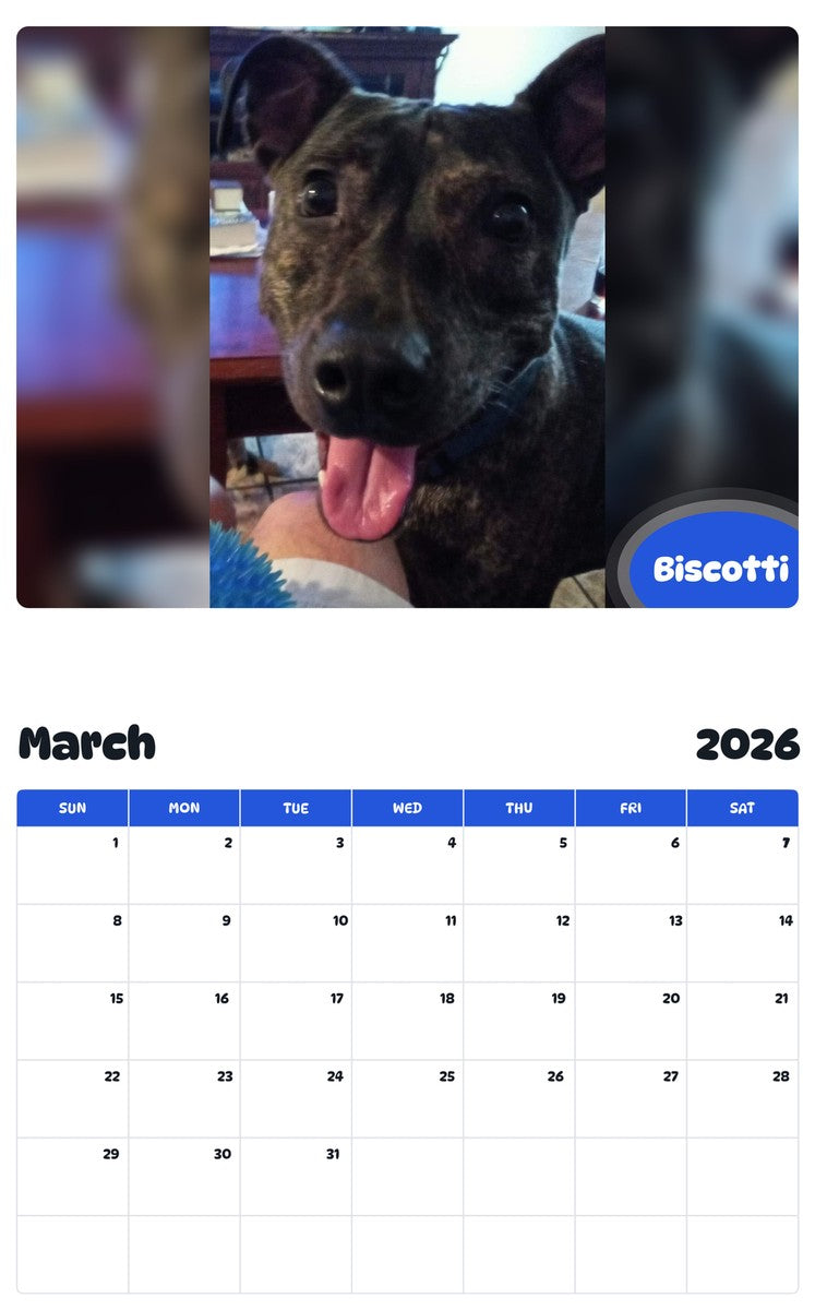 November 2025 - October 2026 Biscotti - Pawidols Pet Calendar