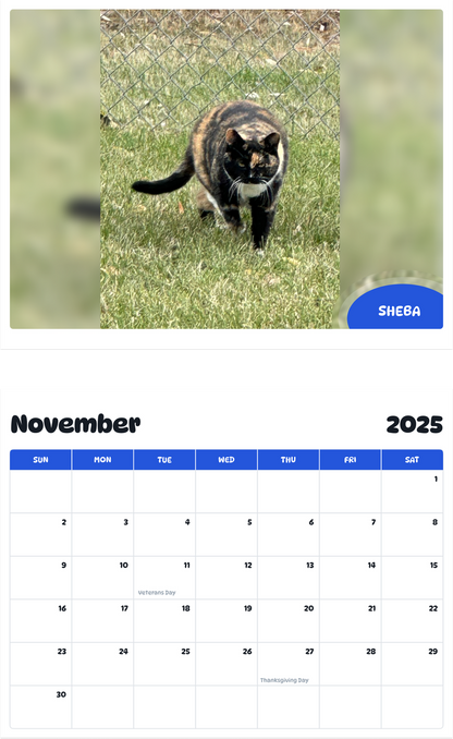 July 2025 - June 2026 Sheba - Pawidols Pet Calendar