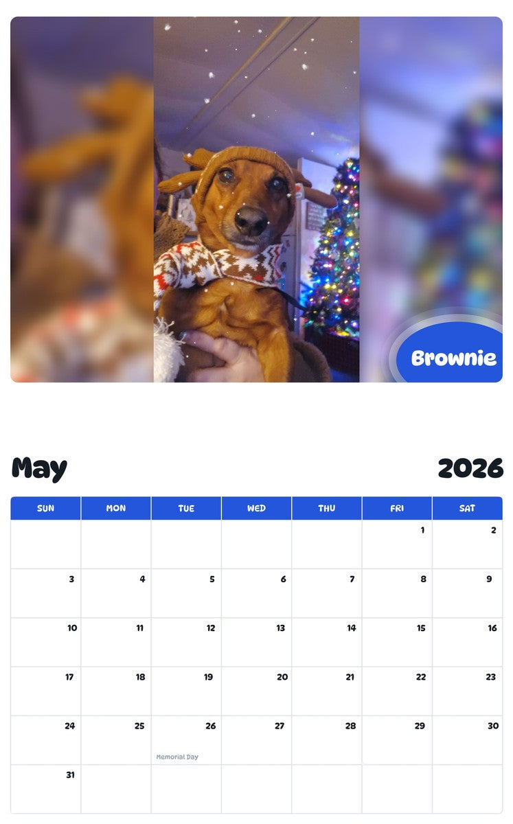 2026 - 2027 Brownie - Pawidols Pet Calendar