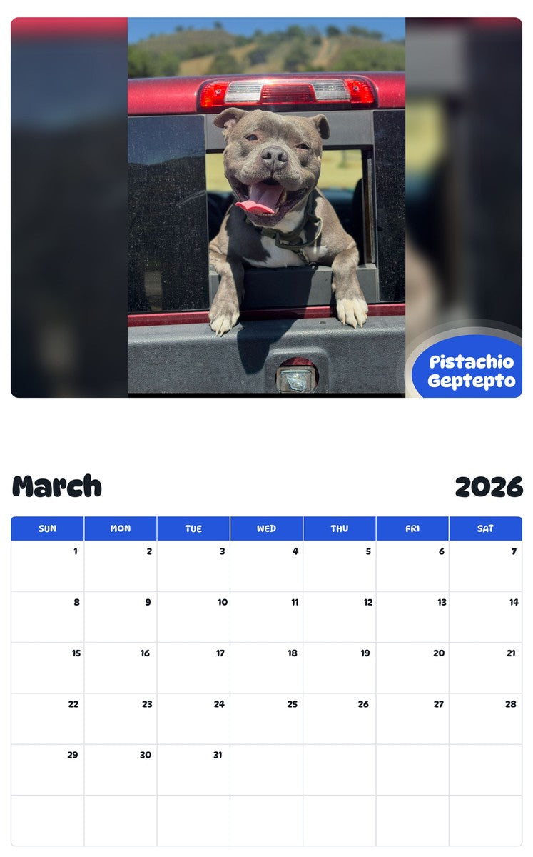November 2025 - October 2026 Pistachio Geptepto - Pawidols Pet Calendar