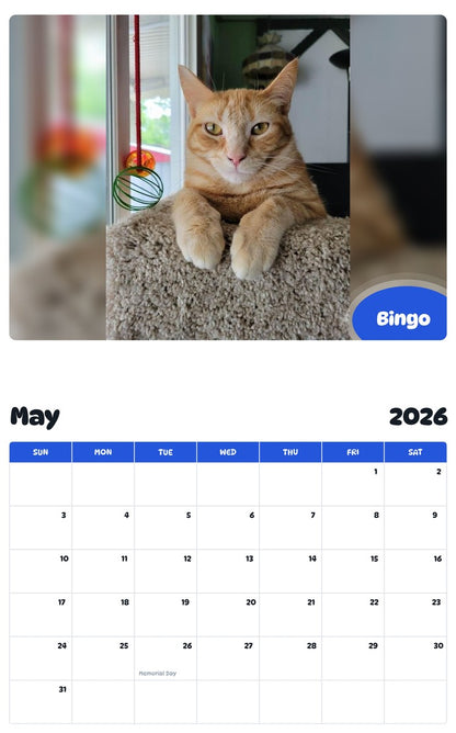 2026 - 2027 Bingo - Pawidols Pet Calendar