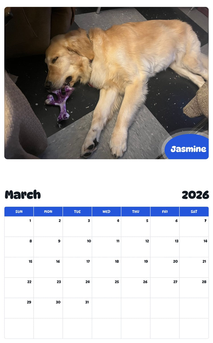 November 2025 - October 2026 Jasmine - Pawidols Pet Calendar