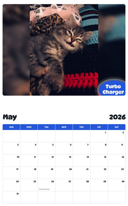 2026 - 2027 Turbo Charger - Pawidols Pet Calendar