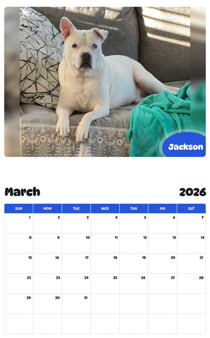 November 2025 - October 2026 Jackson - Pawidols Pet Calendar