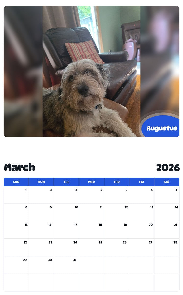November 2025 - October 2026 Augustus - Pawidols Pet Calendar