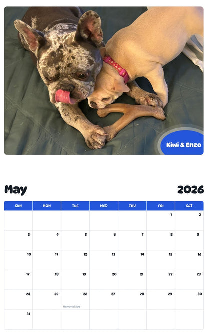2026 - 2027 Kiwi & Enzo - Pawidols Pet Calendar