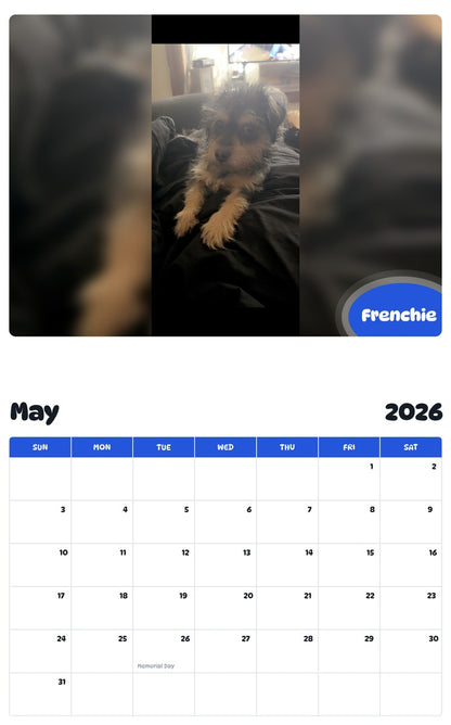 2026 - 2027 Frenchie - Pawidols Pet Calendar