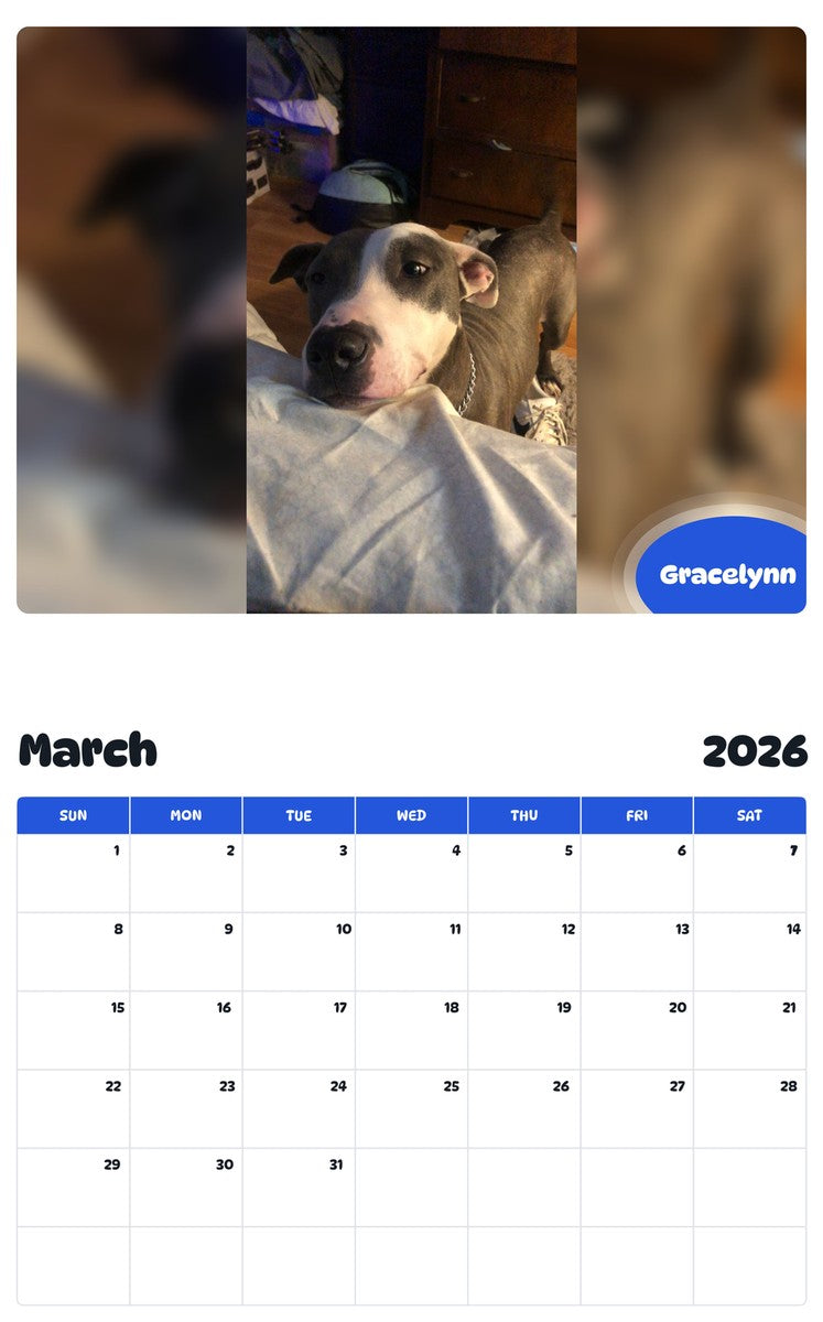 November 2025 - October 2026 Gracelynn - Pawidols Pet Calendar