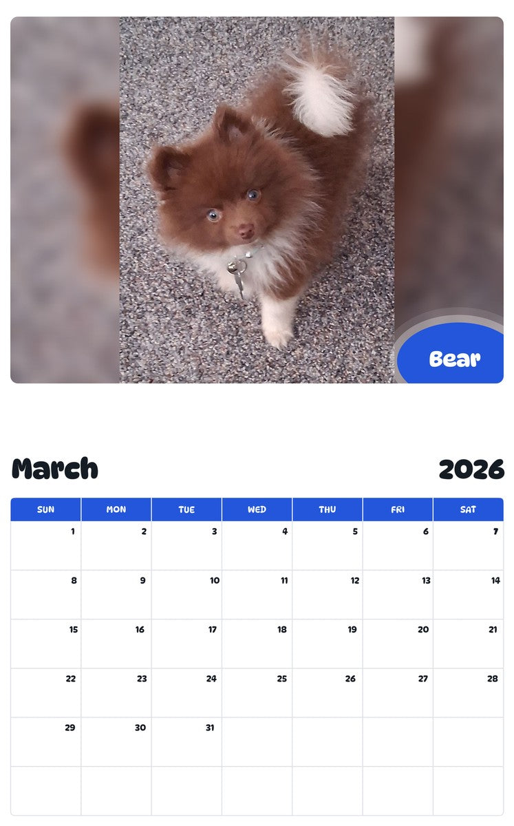 November 2025 - October 2026 Bear - Pawidols Pet Calendar