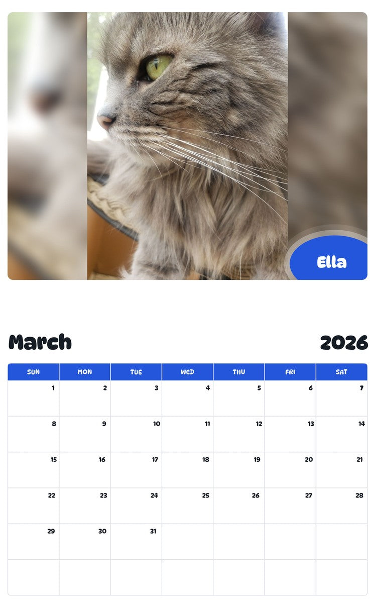 November 2025 - October 2026 Ella - Pawidols Pet Calendar